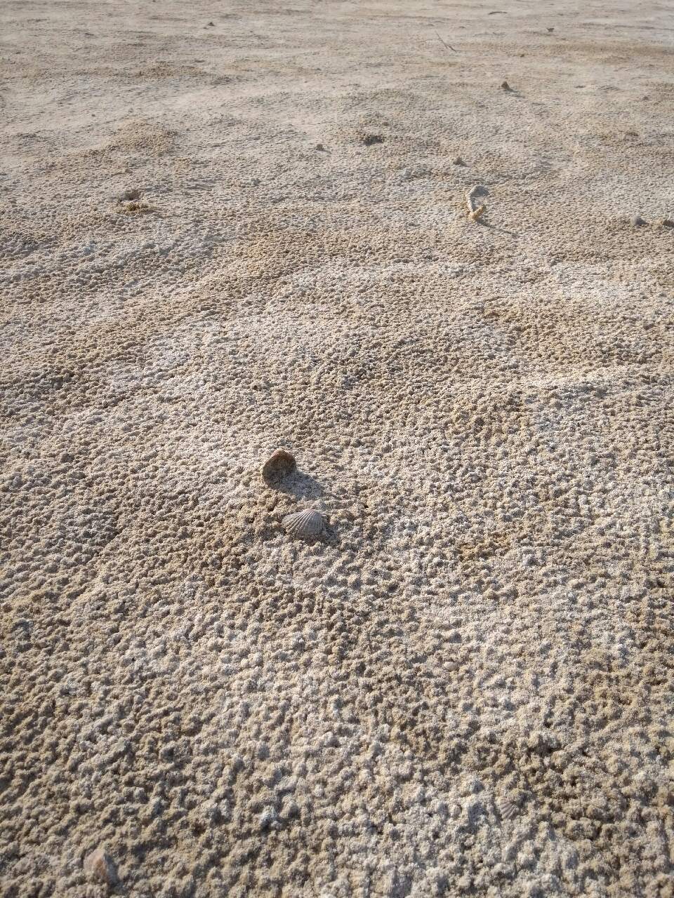 Дно пересохшего Аральского моря